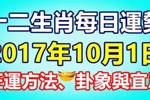 十二生肖每日運勢2017年10月1日；旺運方法、卦象與宜忌