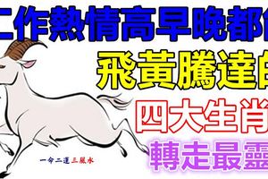 工作熱情高早晚都能飛黃騰達的四大生肖！轉走最靈！