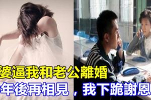 婆婆逼我和老公離婚，10年後再相見，我下跪謝恩！