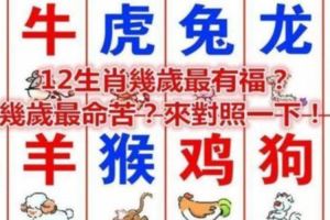 12生肖在幾歲最有福？幾歲最命苦？來對照一下！