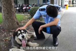 又一家派出所被阿拉吃窮了！警叔叔眼泛淚花：再不來領就吃土了！