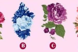 4種顏色的花選1種，測出你對待愛情的態度！