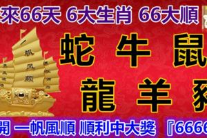 未來66天，6大生肖，66大順，蛇牛鼠龍羊豬，打開富貴如意順利中大獎『66666』