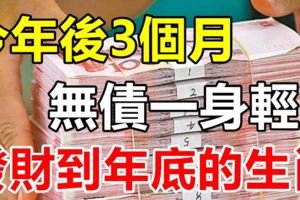 今年後3個月無債一身輕，發財到年底的生肖！