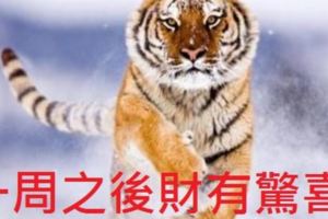 一周之後財有驚喜、業有靠山，有祿又有福的生肖