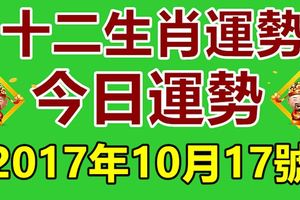 十二生肖運勢天天看，今日運勢：10月17日