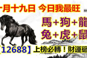 十月十九日，今日我最旺！馬+狗+龍+兔+虎+鼠！12688上榜必轉！財運砸身