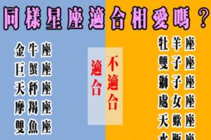 同星座的人到底適不適合相愛！真愛不是應該沒有任何設限嗎！