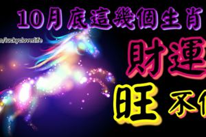 10月底這幾個生肖財運旺不停，有你嗎？