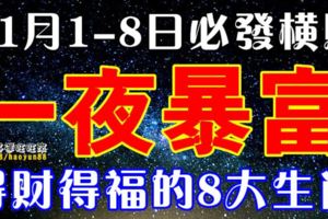 11月1-8日必發橫財一筆，得財得福，一夜暴富的8大生肖