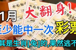 大翻身！11月至少能中一次彩票的幾大生肖！尤其是生肖「兔」的，果然逃不掉！