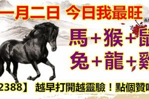十一月二日，今日我最旺！馬+猴+鼠+兔+龍+雞！【32388】越早打開越靈驗！點個贊吧！