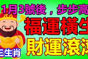 11月3號後，步步高升，財運滾滾，福運橫生的3大生肖，說的就是你