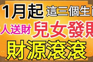 11月起，這三個生肖貴人送財、兒女發財、財源滾滾！