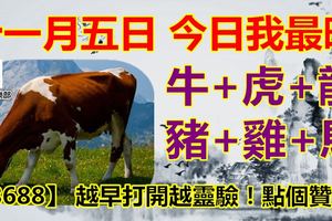 十一月五日，今日我最旺！牛+虎+龍+豬+雞+馬！【88688】越早打開越靈驗！點個贊吧！