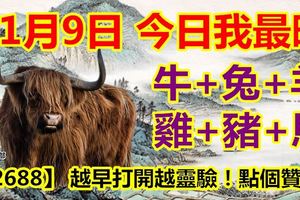 11月9日，今日我最旺！牛+兔+羊+雞+豬+馬！【12688】越早開啟越靈驗！點個贊吧！