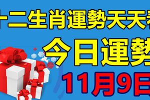 十二生肖運勢天天看，今日運勢：11月9日