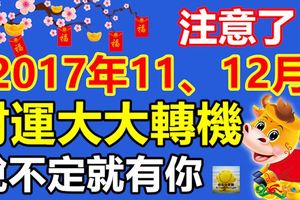 注意了，2017年11、12月財運大大轉機的三大生肖，說不定就有你