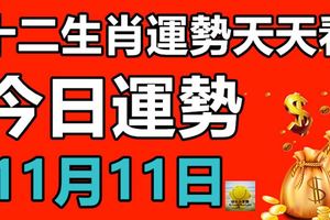 十二生肖運勢天天看，今日運勢：11月11日