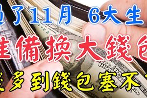 過了11月，這6生肖準備換個大錢包，錢多到錢包都塞不下
