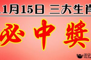 11月15日必中獎的的三大生肖，他們偏財運到