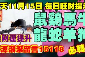 今天11月15日,每日旺財提示：鼠雞馬牛，龍蛇羊狗。錢財運提升！財源滾滾留言15118必轉！