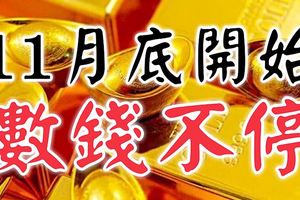 11月底開始數錢不停的三大生肖，男做官，女發財！