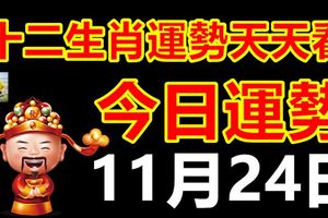 十二生肖運勢天天看，今日運勢：11月24日