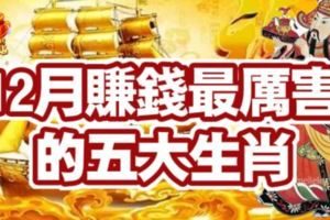 12月賺錢最厲害的五大生肖