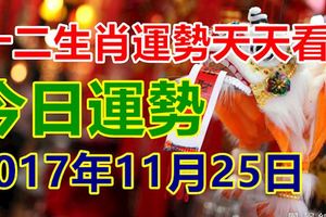 十二生肖運勢天天看，今日運勢：2017年11月25日