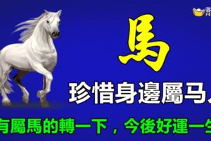 家裡有屬馬的人，不多說。請珍惜！身邊有屬馬的必轉，今後好運一生！