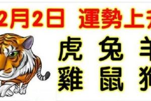 12月2日生肖運勢_虎、兔、羊大吉