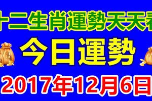 十二生肖運勢天天看，今日運勢：12月6日