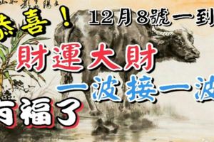 恭喜！12月8號一到，財運瞬間變好！大財一波接一波，有福了