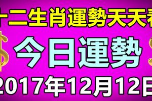 十二生肖運勢天天看，今日運勢：12月12日