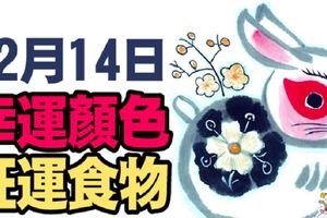 旺運食物+幸運顏色|12月14日(四)