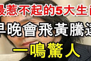 最惹不起的五大生肖！早晚會飛黃騰達，一鳴驚人