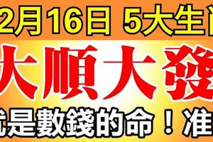 12月16日開始，這5大生肖大順大發，就是數錢的命！
