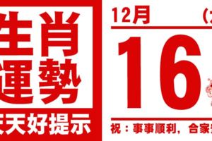 生肖運勢，天天好提示（12月16日）
