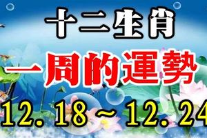 十二生肖，一周的運勢【12.18～12.24】！