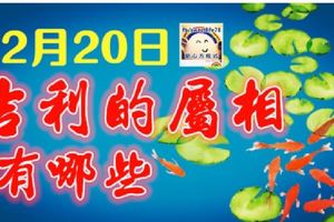 12月20日吉利的屬相有哪些？