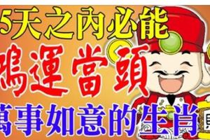 15天之內必能鴻運當頭，萬事如意的生肖，要抓住機會！