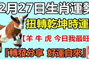 12月27日生肖運勢，扭轉乾坤時運到！『轉發分享好運自來』