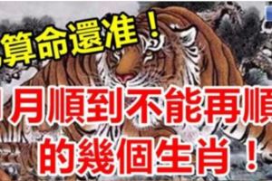 比算命還准！1月開始順到不能再順的幾個生肖！