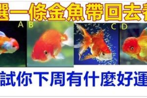 心理測試：選一條金魚帶回去養，測試你下周有什麼好運勢