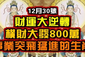 12月30號財運大逆轉，橫財大發800萬，事業突飛猛進的生肖