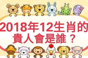 2018年12生肖的貴人會是誰？