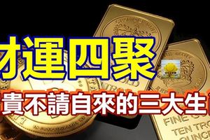 財運四聚，富貴不請自來的三大生肖