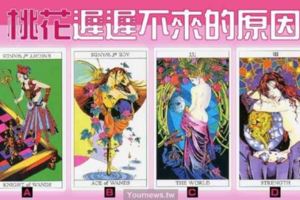 【織粉女神塔羅】憑直覺選一張牌～測你桃花遲遲不來的原因？