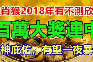 生肖猴2018年有不測欣喜，百萬大獎連中，財神庇佑，有望一夜暴富